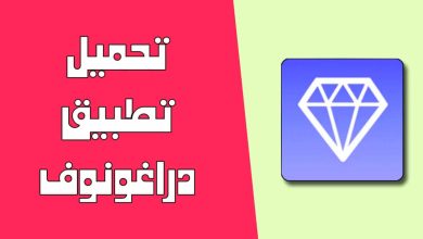 WhatsApp Image 2024 03 01 at 11.47.28