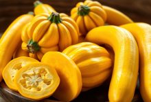 yellow squash recipes