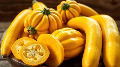 yellow squash recipes